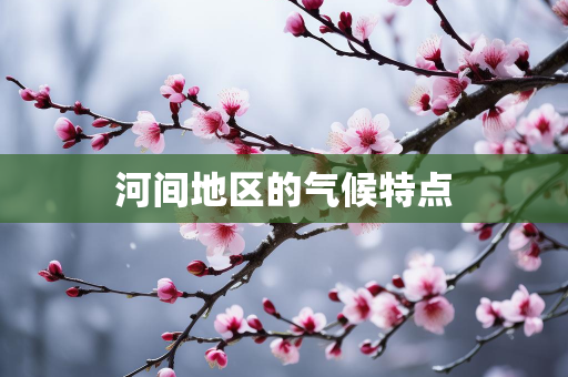 气候信息知识