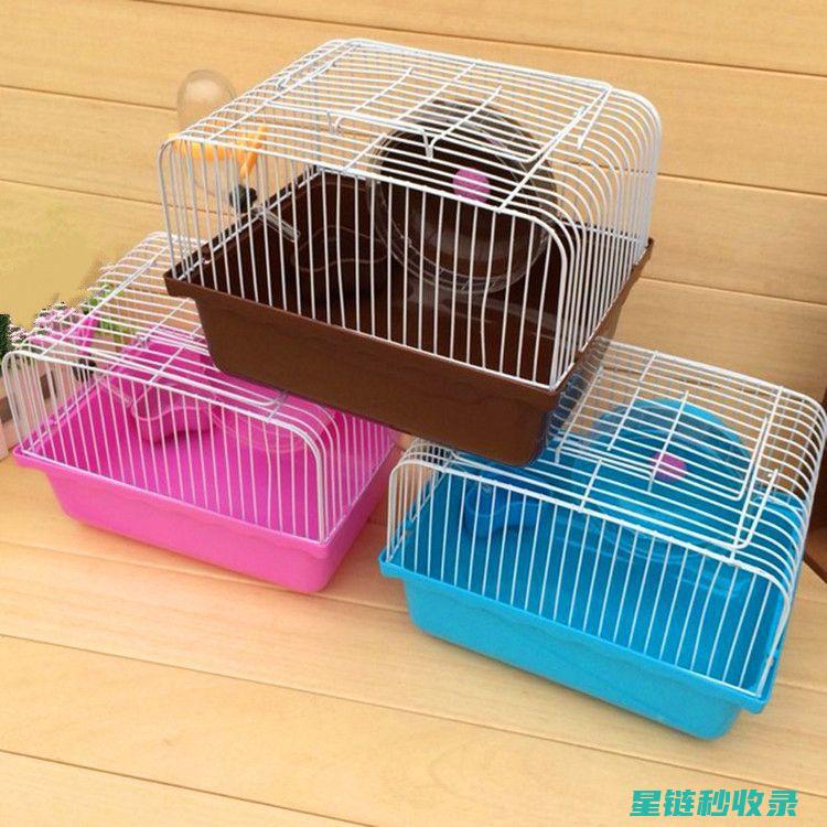 仓鼠笼清洁技巧分享：让你的小宠物更健康 (仓鼠笼子清洁)