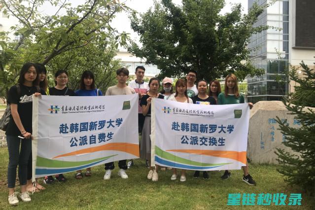 技能交换案例分享：从零到一的成功故事 (技能交换案例分享)