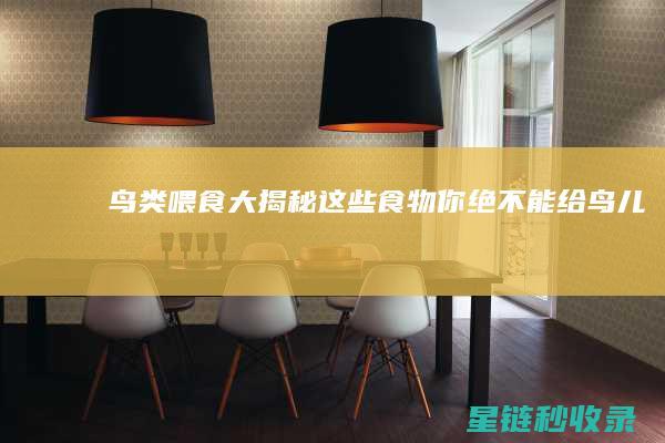 鸟类喂食大揭秘：这些食物你绝不能给！ (鸟儿喂食)