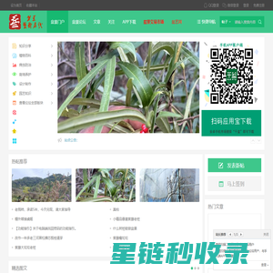 盆景艺术在线_盆景爱好者交易交流造型养护制作设计 -  cnpenjing.com